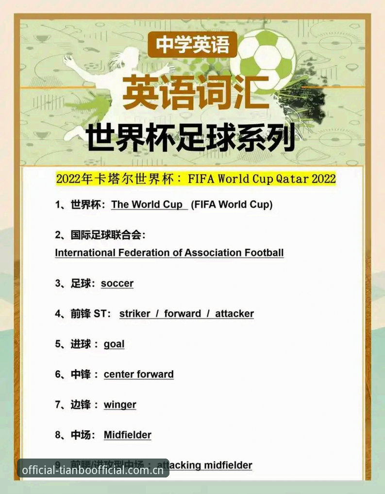 揭秘世界杯门票背后的签证困局：一场被地缘政治搅乱的足球盛宴